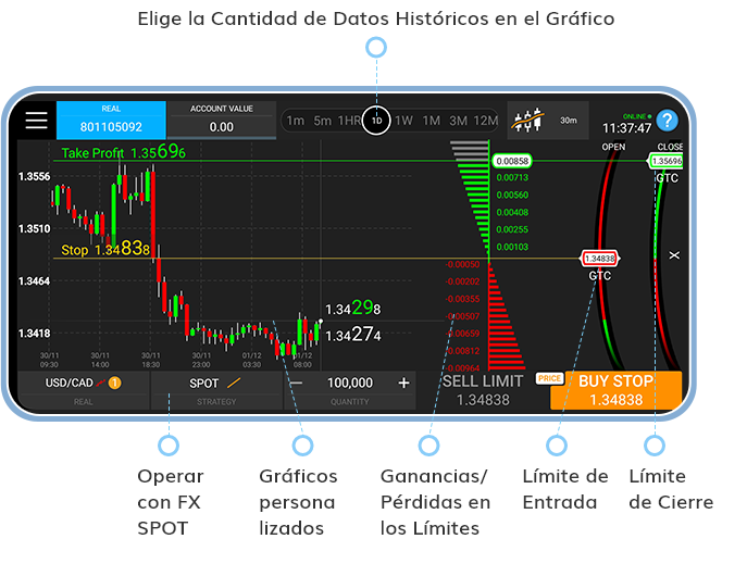 AvaOptions